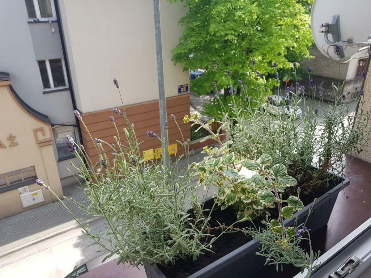 Przytulna i przestrzenna garsoniera- Centrum Tarnów Zewnętrze zdjęcie